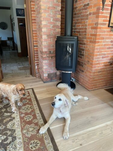 Lincoln and jack