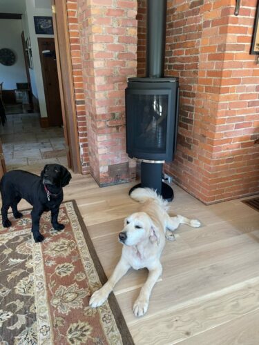 Milo and jack