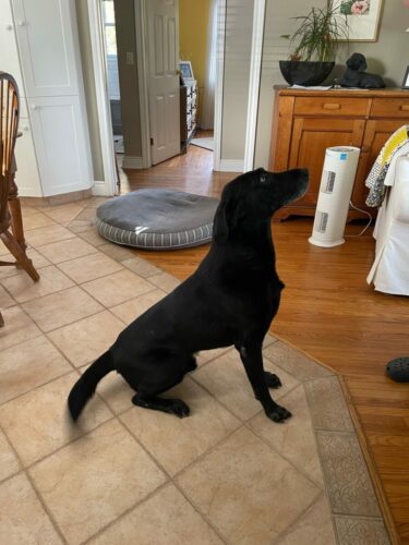 Buster