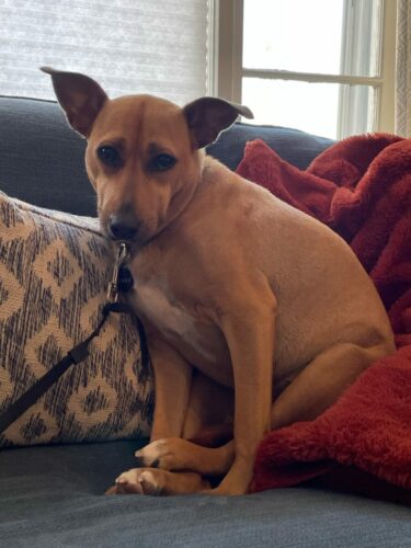 Penny. So shy.