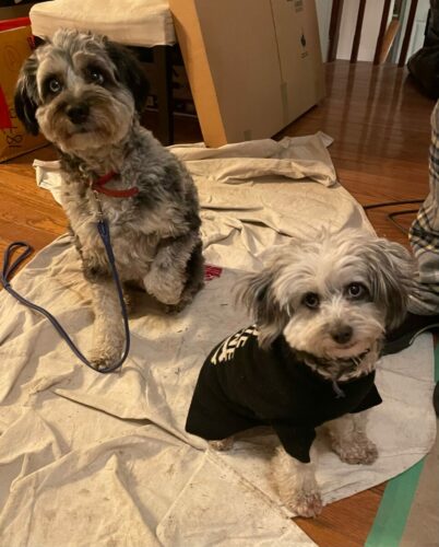 Tulay and Ollie.
