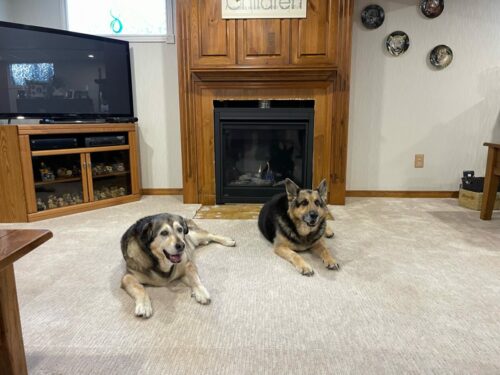 Bandit and Max.